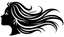Hairxpresser.NG logo
